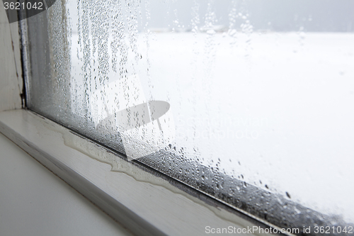 Image of Humidity at a window