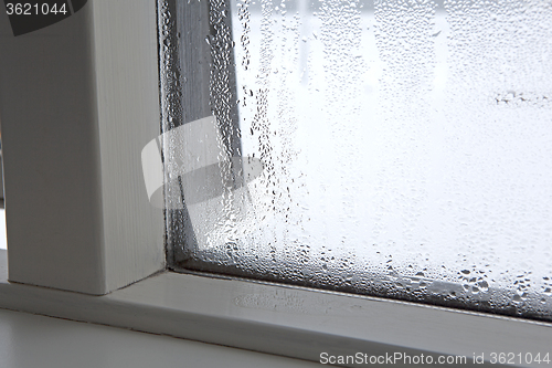 Image of Humidity at a window