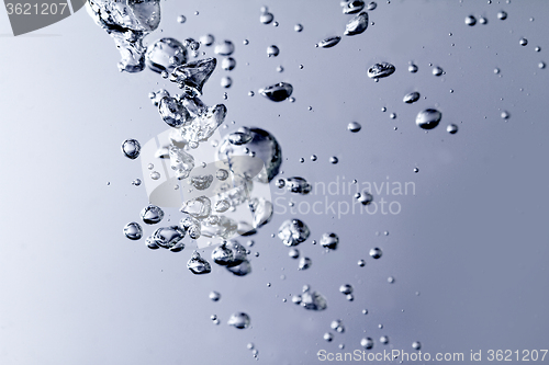 Image of Water bubbles