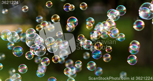 Image of Soap bubbles