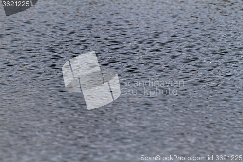 Image of The water