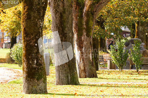 Image of Green park