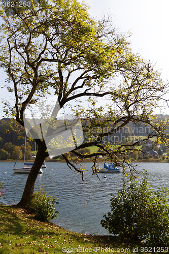 Image of Lake in the park