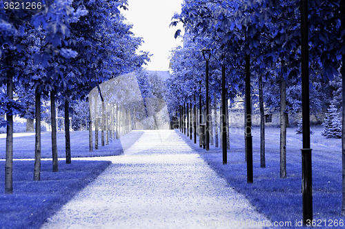 Image of Blue park