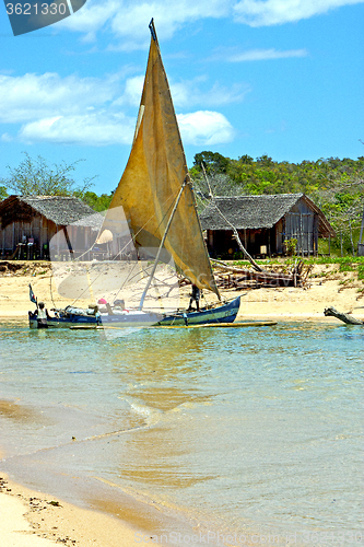 Image of pirogue beach seaweed in indian nosy be   sand isle          