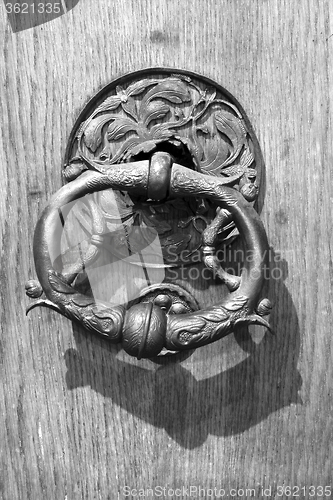 Image of knocker in a door in innsbruck