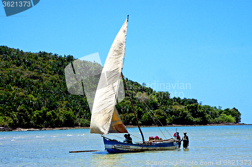 Image of pirogue beach seaweed in indian ocean madagascar  people   sand 