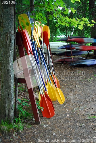 Image of Kayak paddles