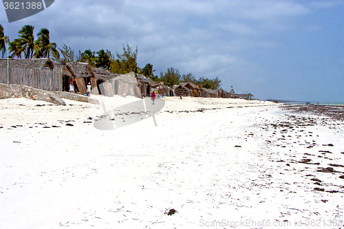 Image of seaweed beach   in home     sand isle  sky  and sailing