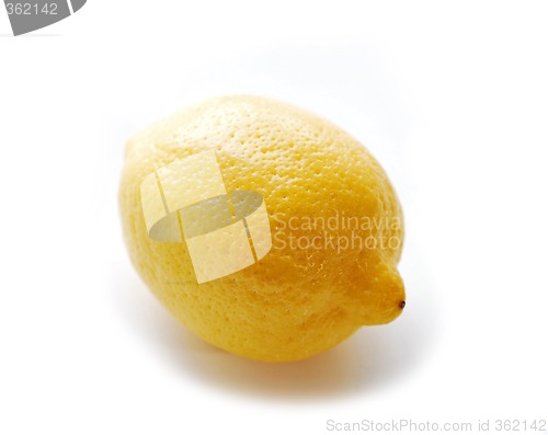 Image of Lemon