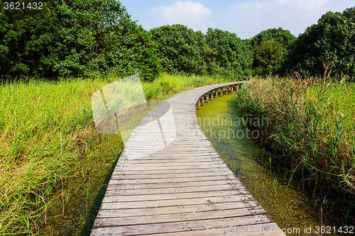 Image of Wooden Bridge over a Pond