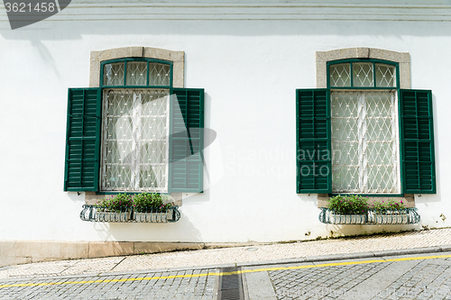 Image of House plants on the balcony besides road