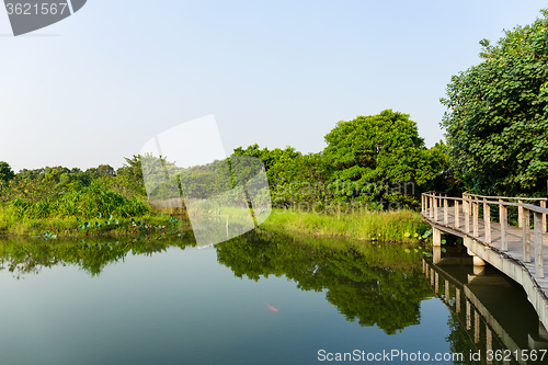 Image of Lake and wooden bridge