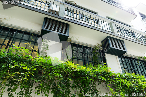 Image of Classic style balcony with green plant at summer time