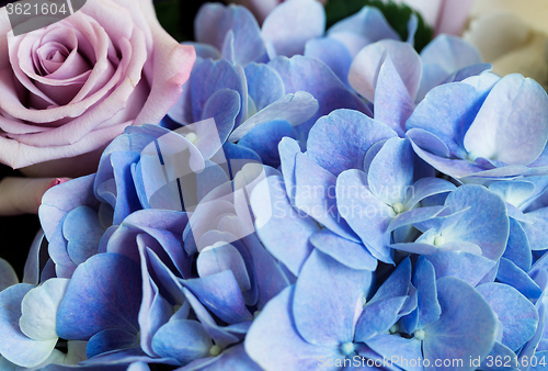 Image of Bouquet with pink rose and Hydrangea