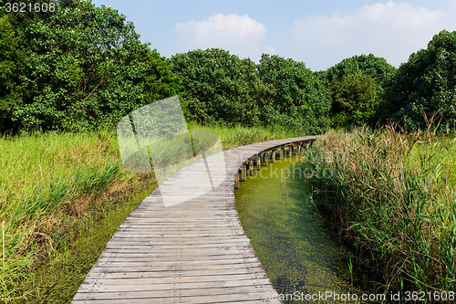 Image of Walking path over the jungle