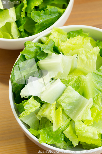 Image of Lettuce salad