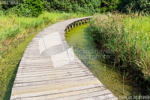 Image of Wooden walkway