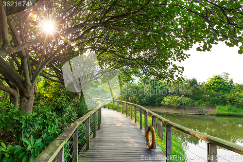 Image of Wood bridge in the forest