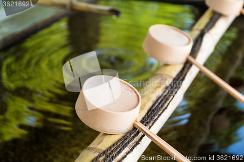 Image of Traditional bamboo water scoop