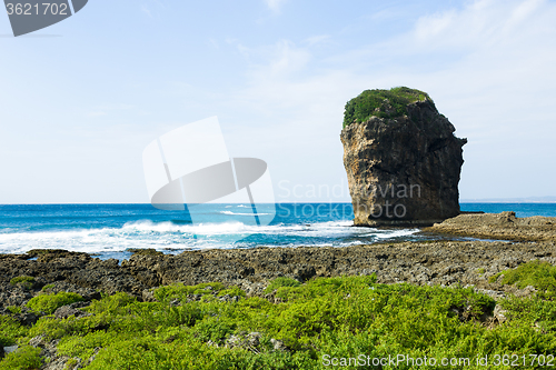 Image of Sea with rock