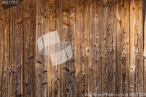 Image of Burned Wooden texture