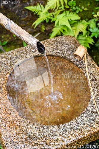 Image of Traditional Bamboo Fountain in Japan