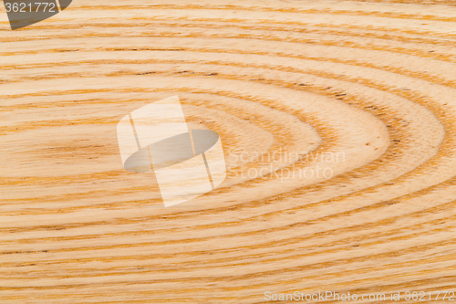 Image of Wood