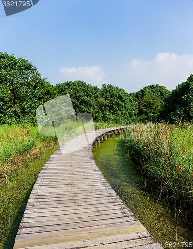 Image of Boardwalk through wetland