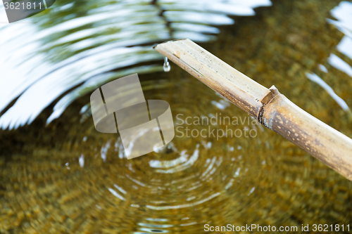 Image of Purification fountain at a shrine with a bamboo pipe