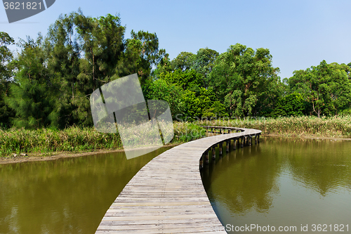 Image of Forest and lake with wooden path