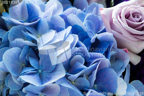 Image of Hydrangea and rose
