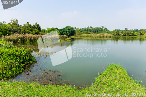 Image of Fishery wetland