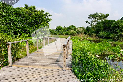 Image of Footbridge in forest