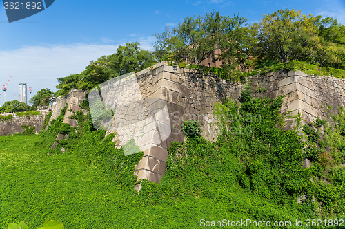 Image of Turret of the osaka castle with alga