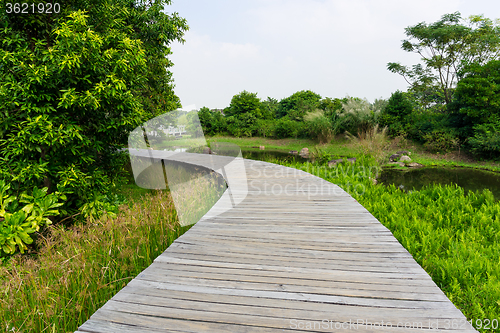 Image of Wooden bridge in tropical rain forest