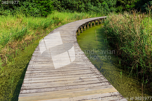 Image of Footbridge through wetland