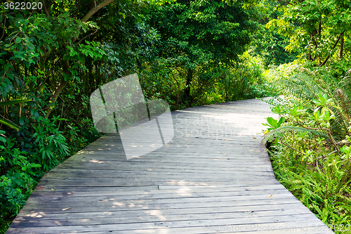 Image of Wooden walk way 