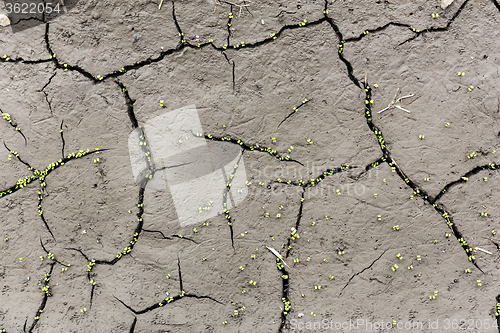 Image of Cracks on the ground