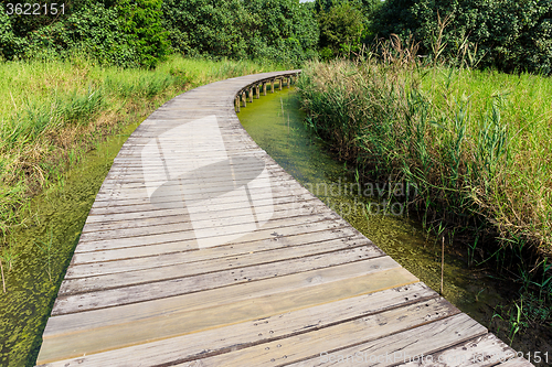 Image of Wooden Bridge in jungle