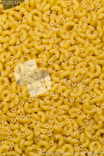 Image of Macaroni Pasta