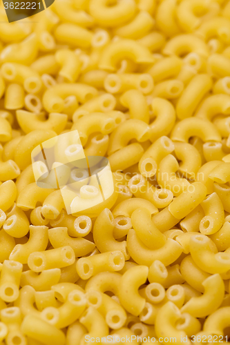 Image of Macaroni Italian pasta