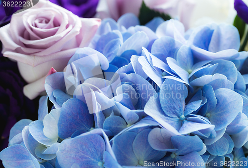 Image of Hydrangea and rose close up