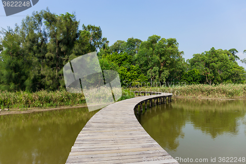 Image of Wooden walk way