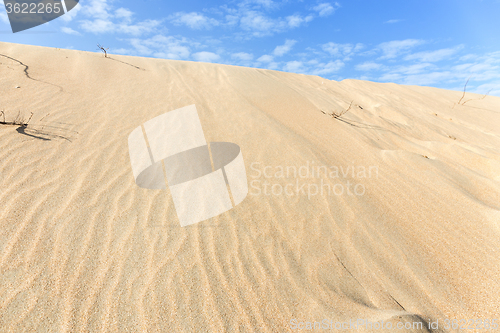 Image of Desert with beautiful sky