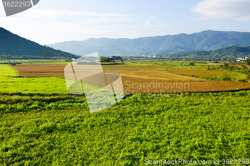 Image of Farm