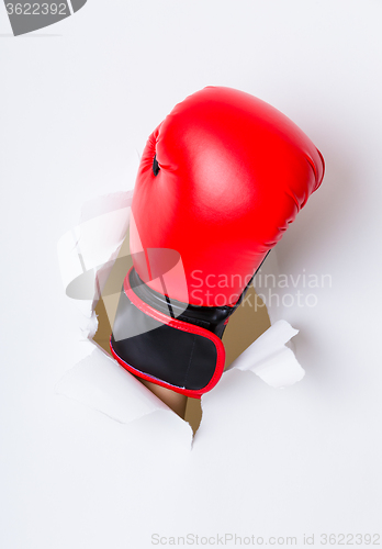 Image of Boxer glove breaking paper