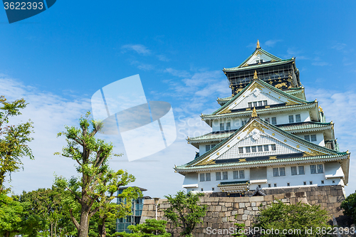 Image of Osaka Castle in Japan