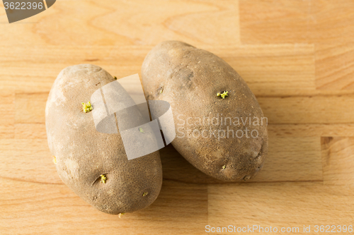 Image of Potato sprouts