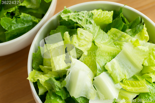 Image of Fresh salad